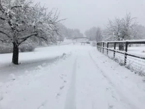 Winter landscape with a snow-covered path, frosty trees, and a wooden fence on a quiet, snowy day in the countryside.